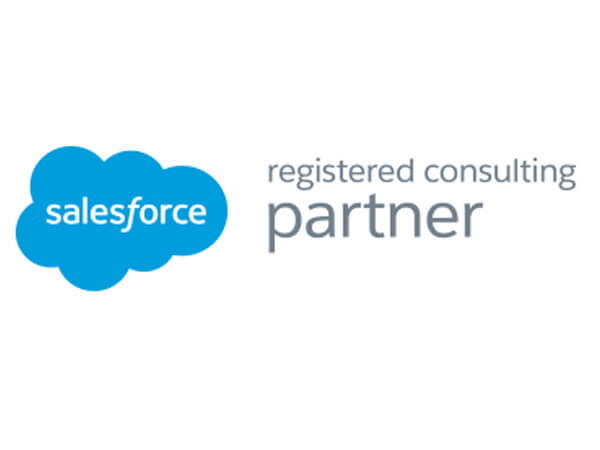 Salesforce Consulting Partner