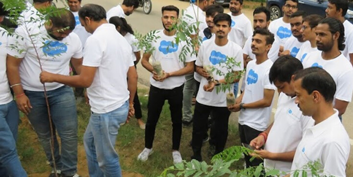 plantation2-image